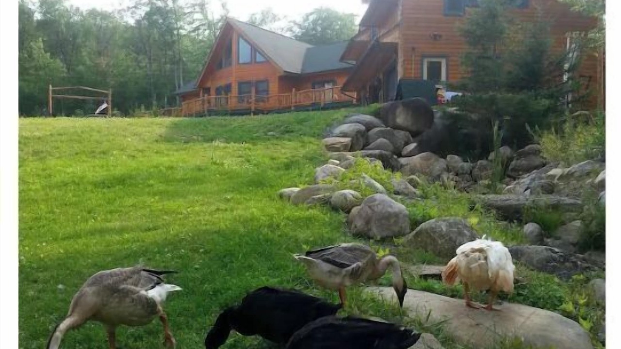 Photo of Outdoor in Wilmington