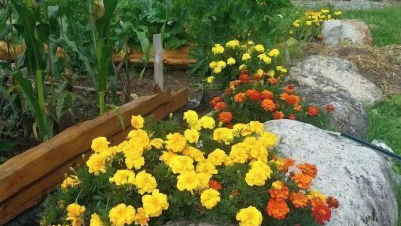 Photo of Outdoor in Wilmington