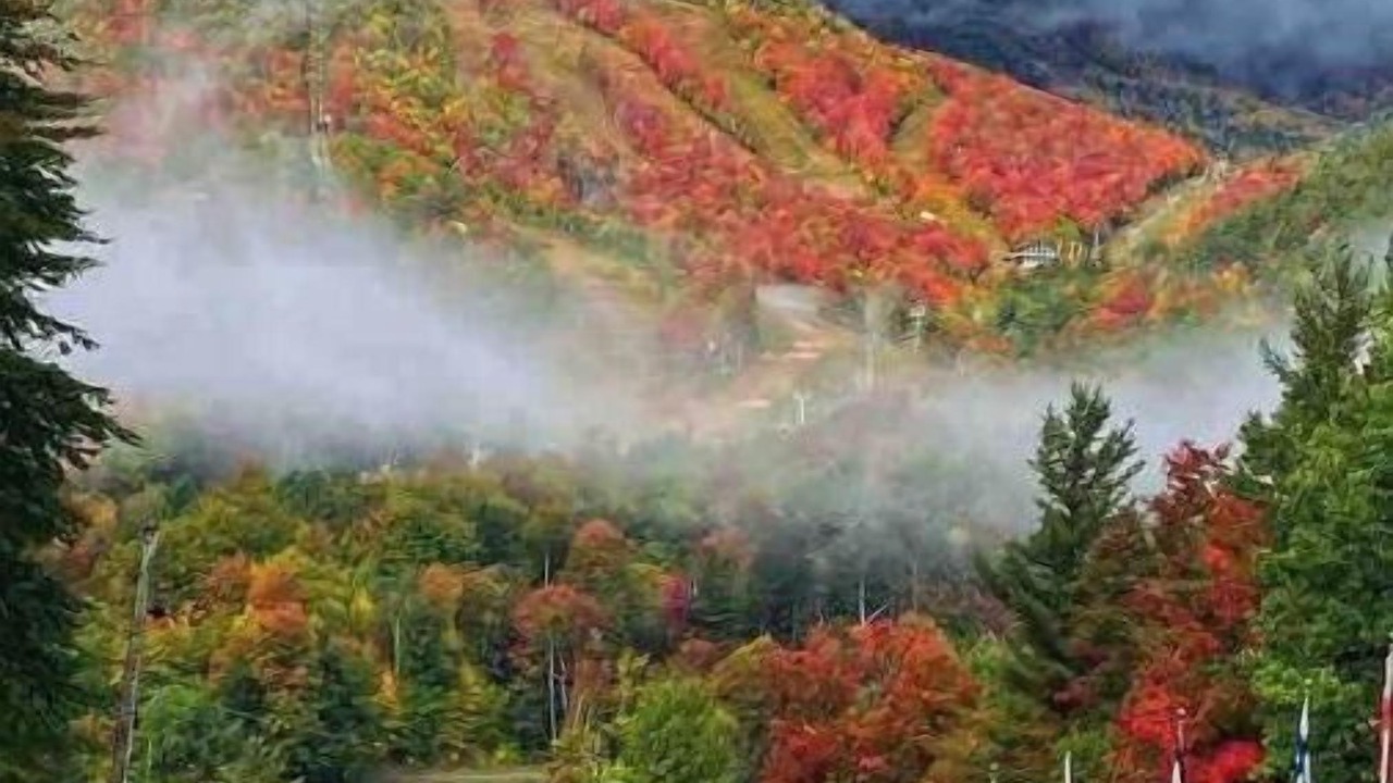 Photo of Bedroom in Wilmington