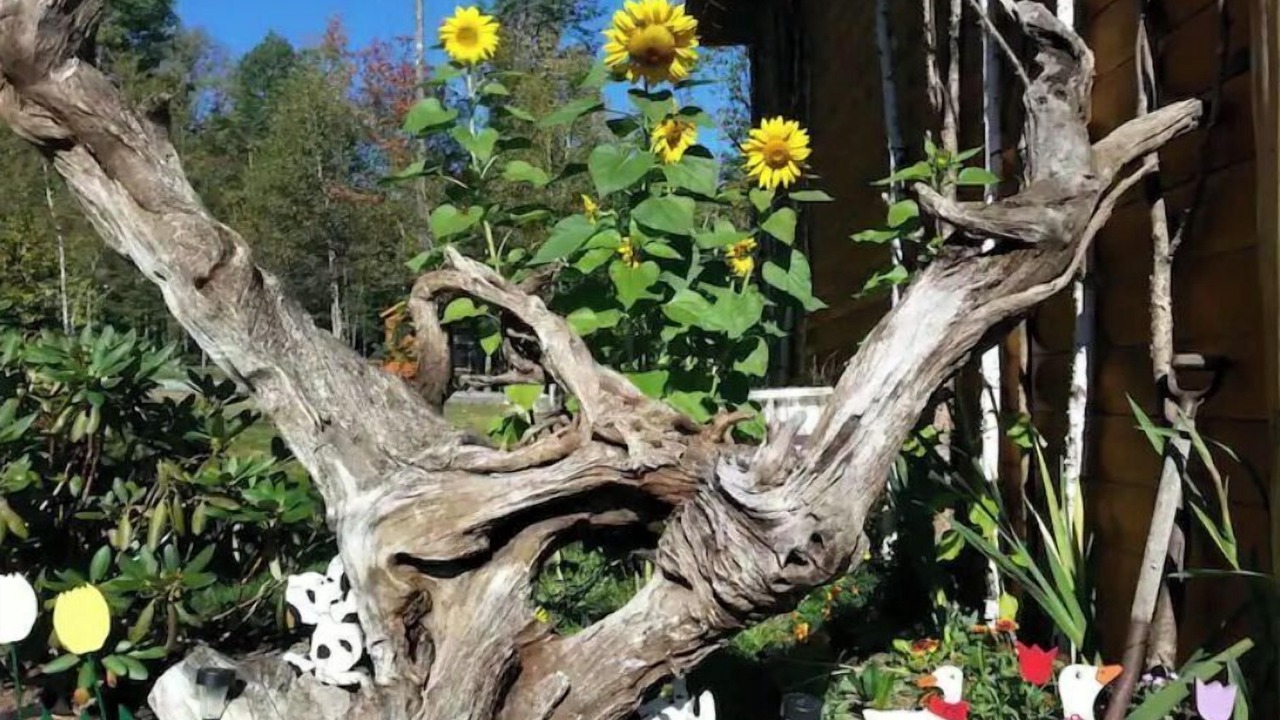 Photo of Outdoor in Wilmington