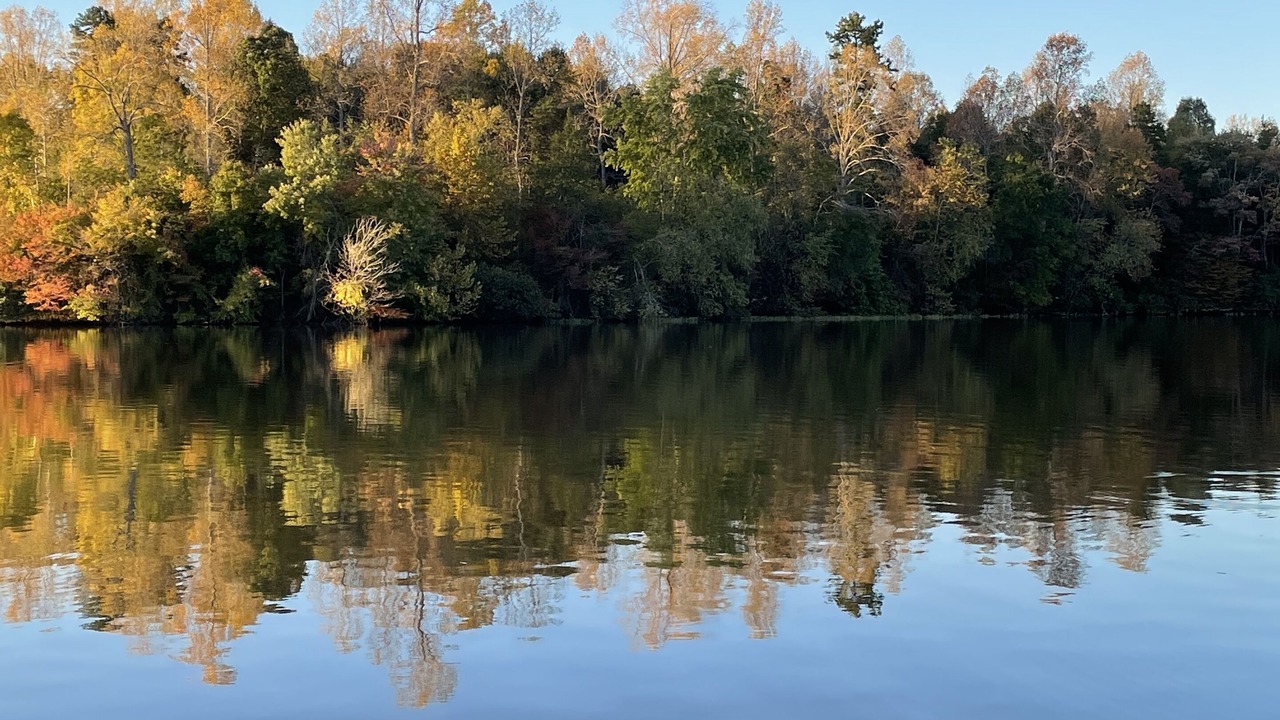 Photo of Outdoor in Louisa