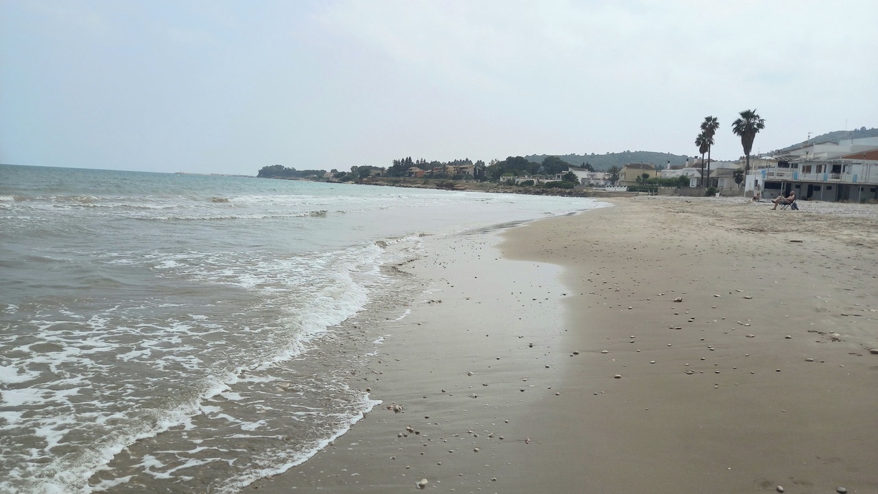Photo of Others in Alcanar