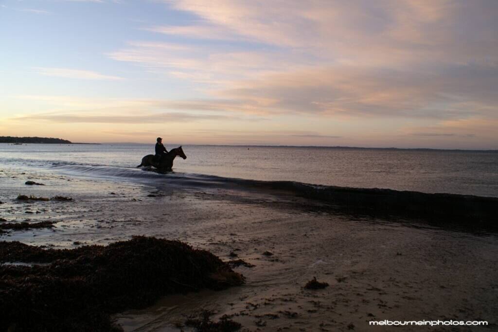 Photo of Others in Balnarring