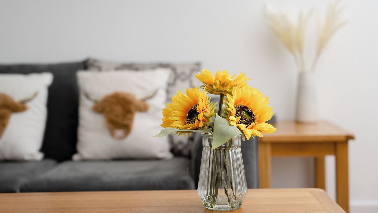 Photo of Others in Inverness City Centre