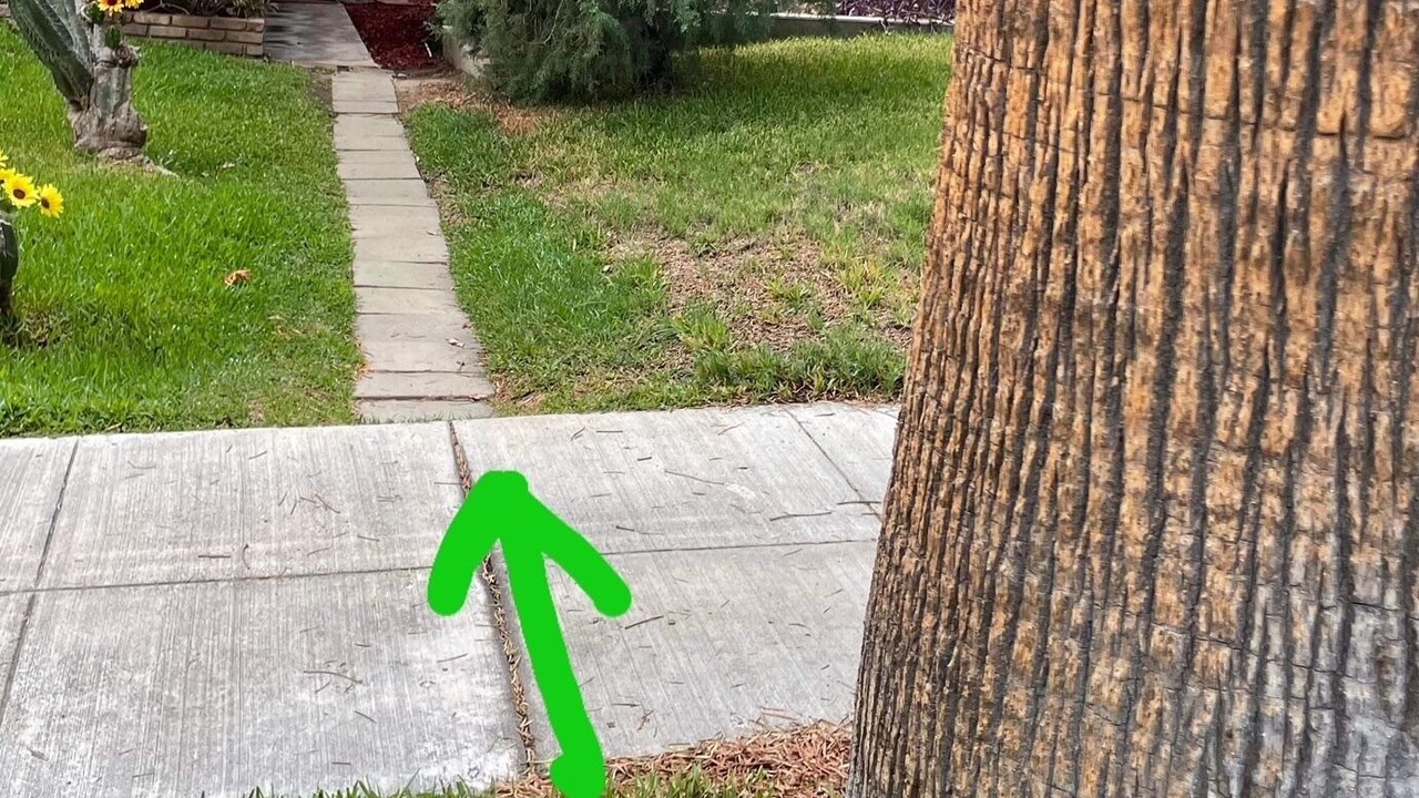 Photo of Others in Downtown Riverside