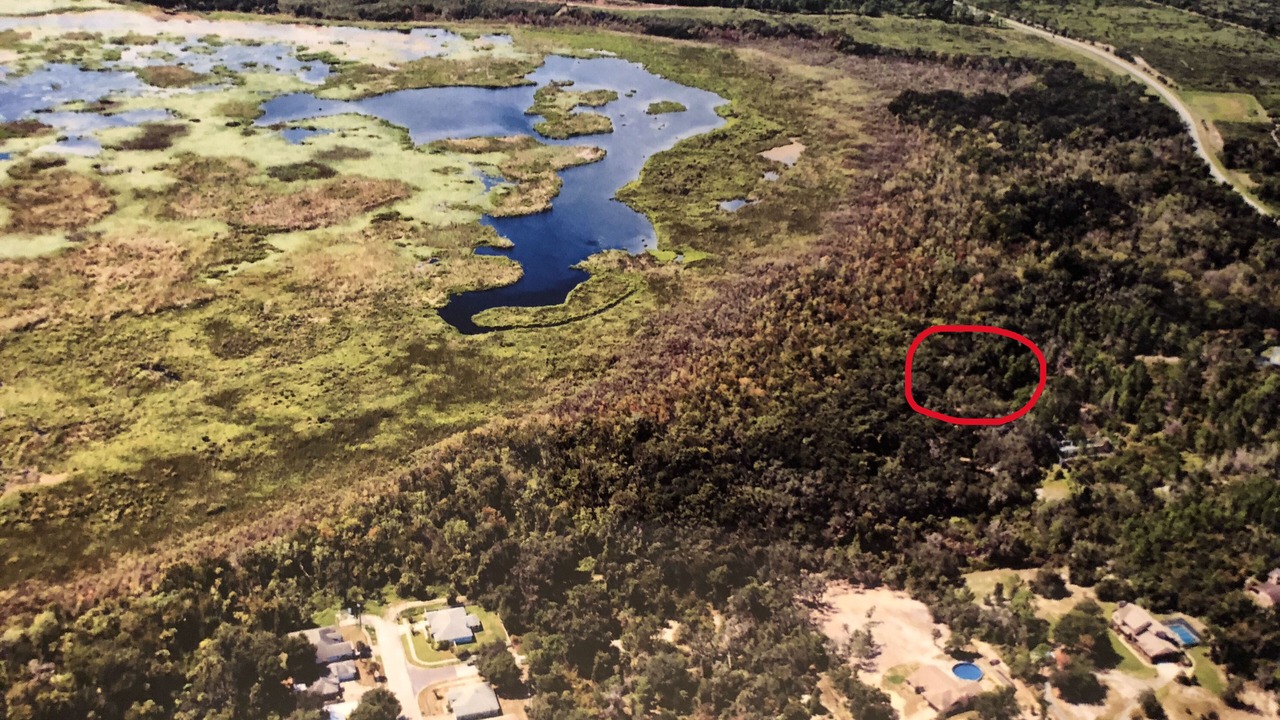 Photo of Outdoor in Titusville