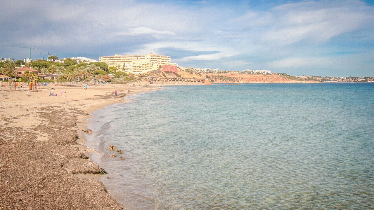 Photo of Others in Playa Flamenca