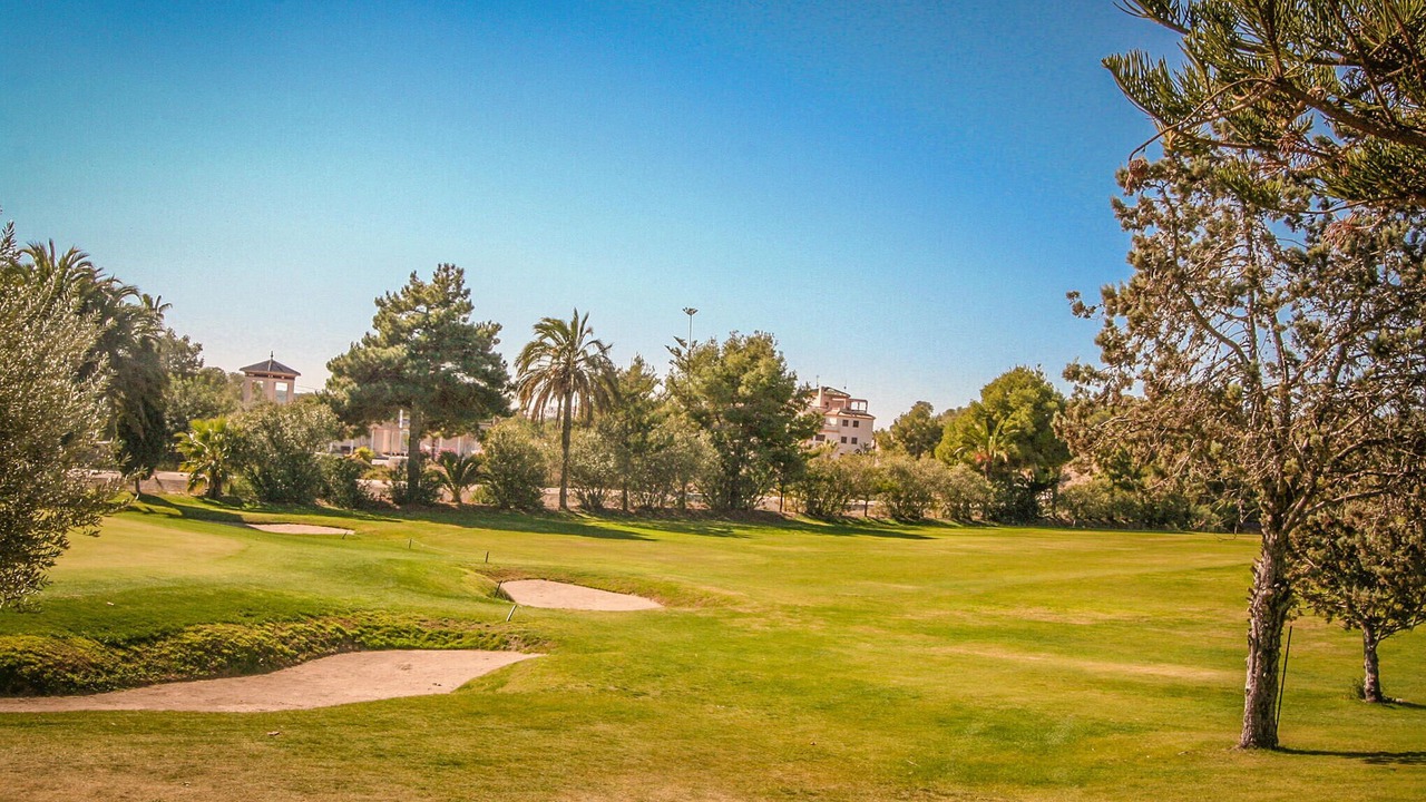 Photo of Others in Playa Flamenca
