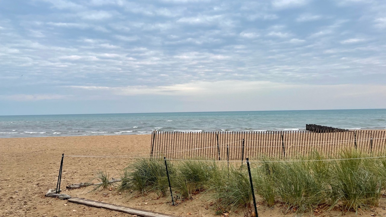 Photo of Others in Rogers Park