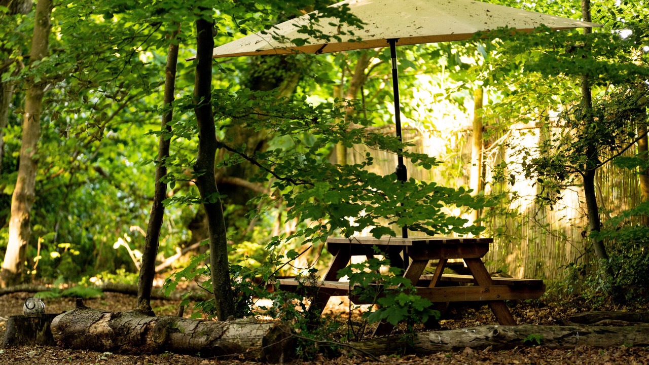 Photo of Outdoor in Penwood