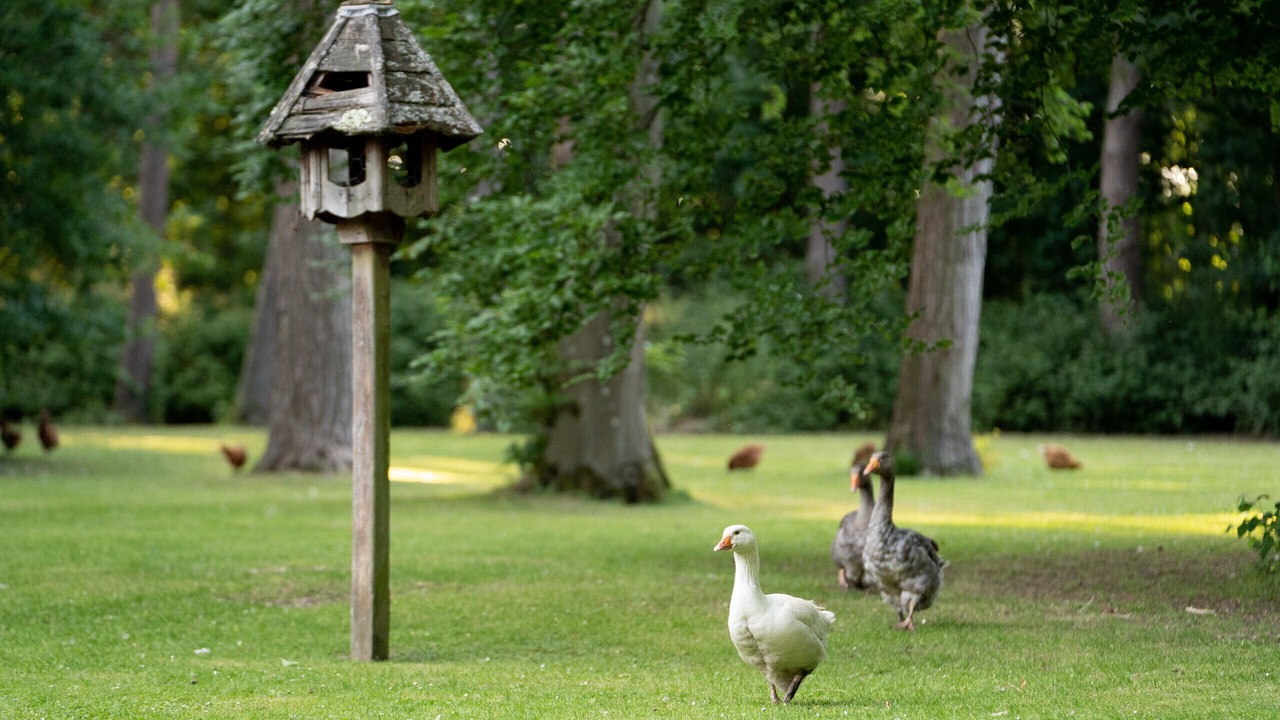 Photo of Others in Penwood