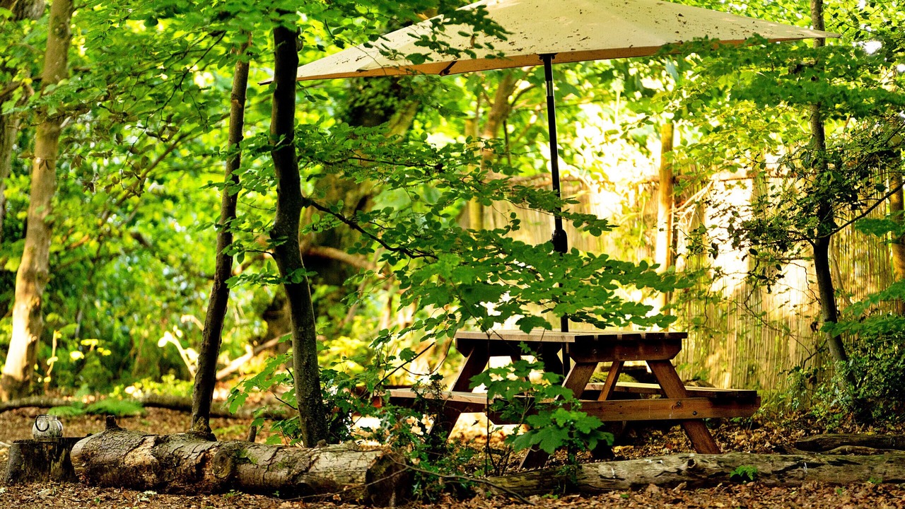 Photo of Outdoor in Penwood