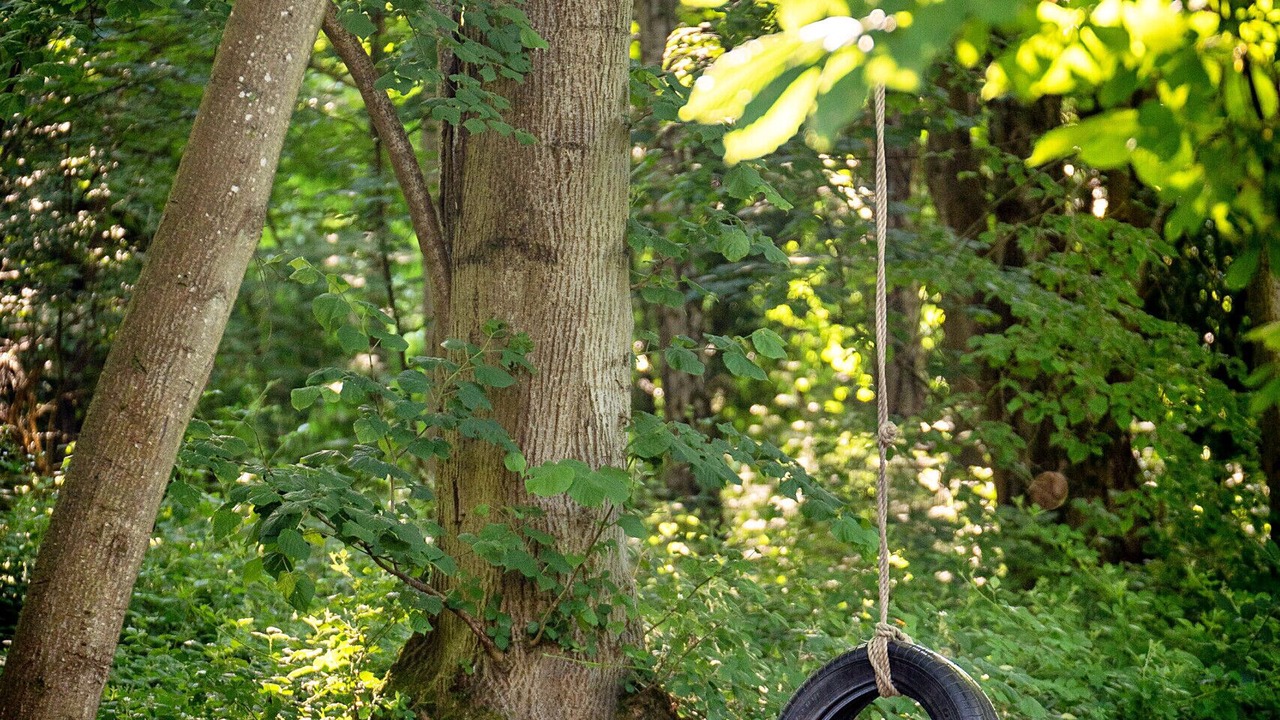 Photo of Others in Penwood