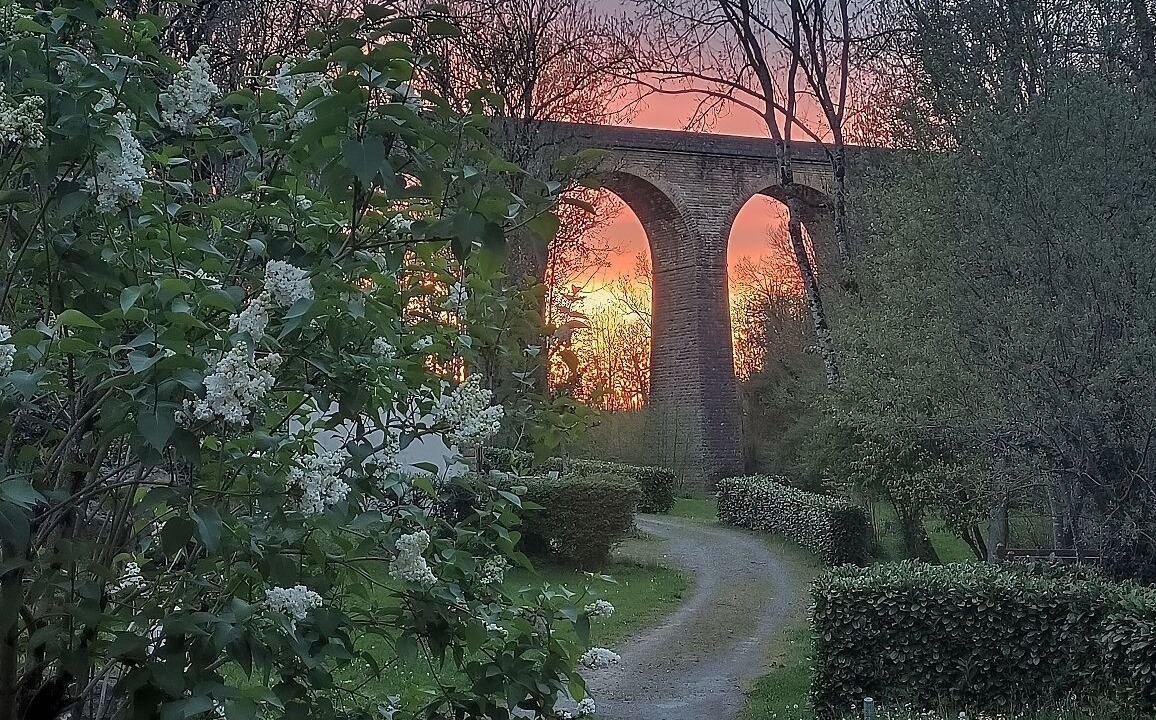 Photo of Outdoor in Saint-Pompain