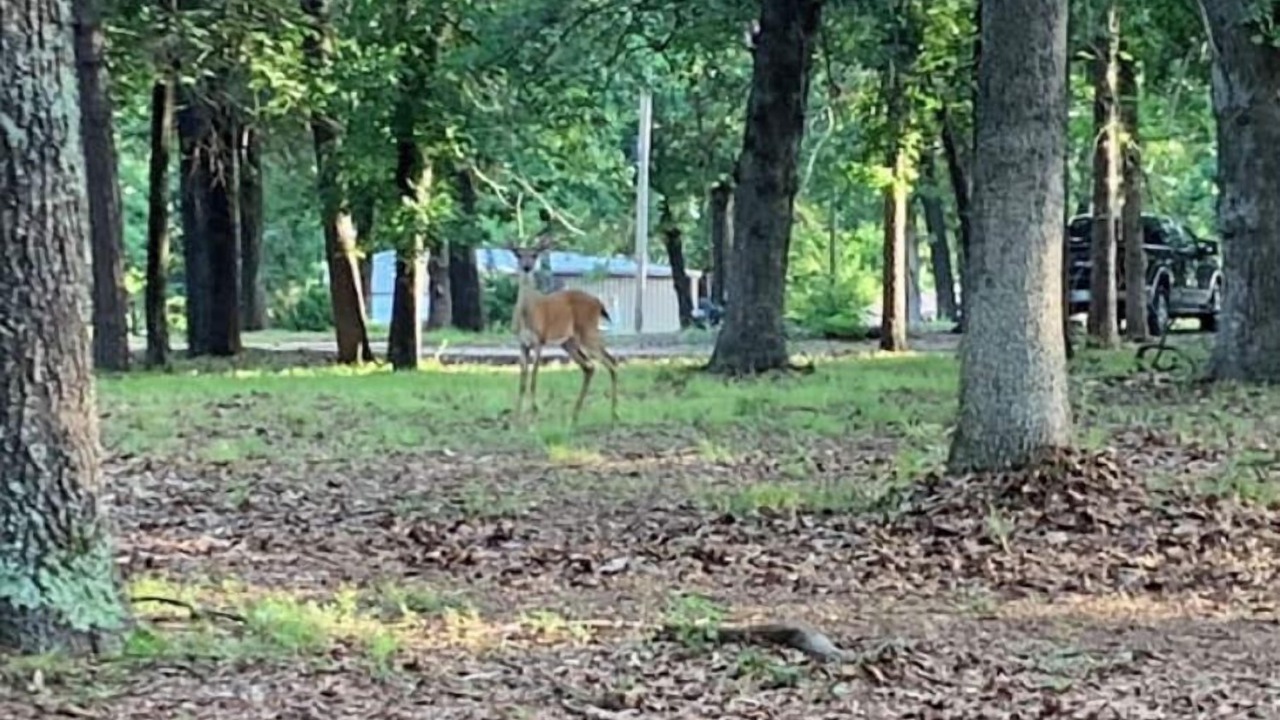 Photo of Outdoor in Hoyt