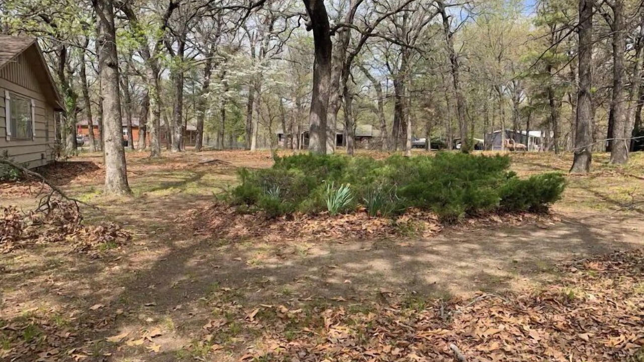 Photo of Outdoor in Hoyt