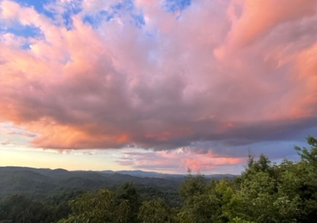 Photo of Others in Yadkin Valley