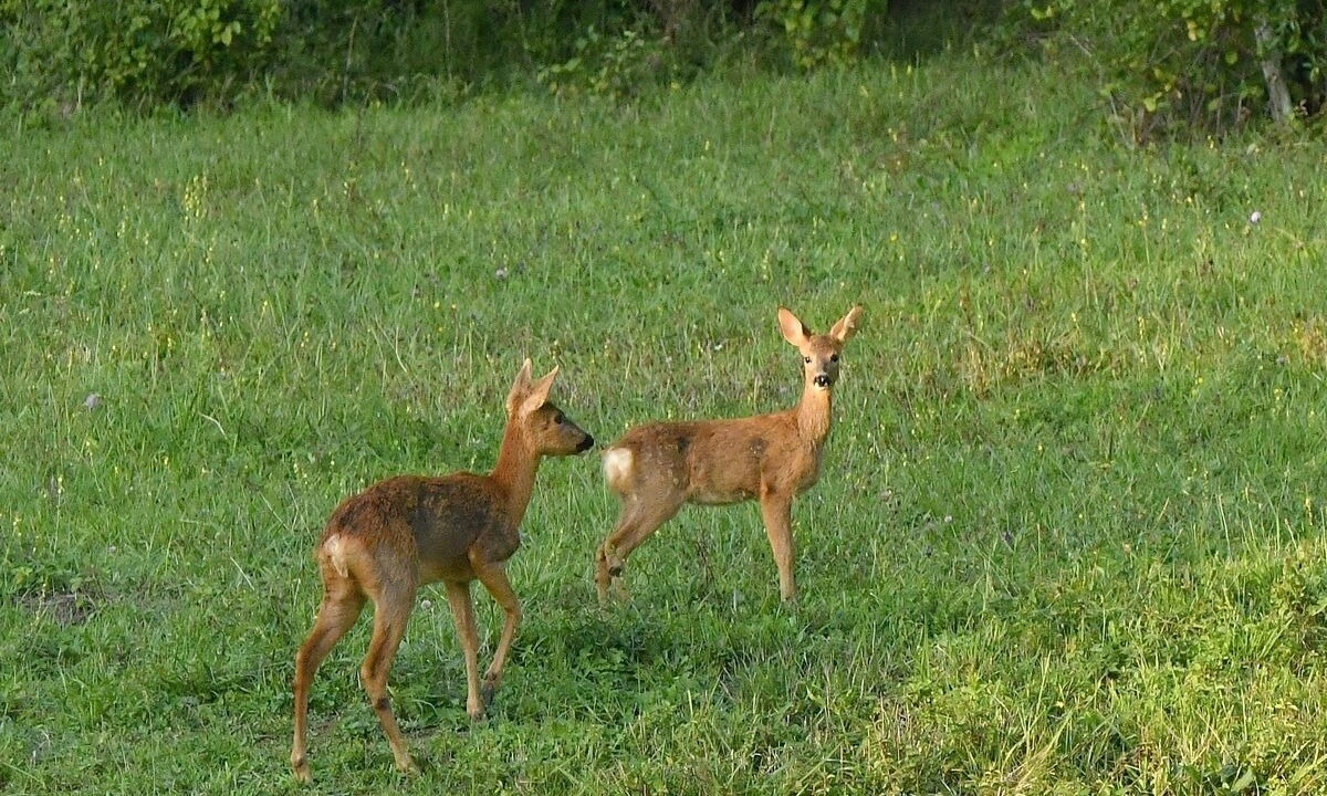 Photo of Others in Passenans