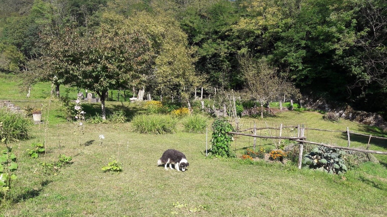 Photo of Outdoor in Passenans