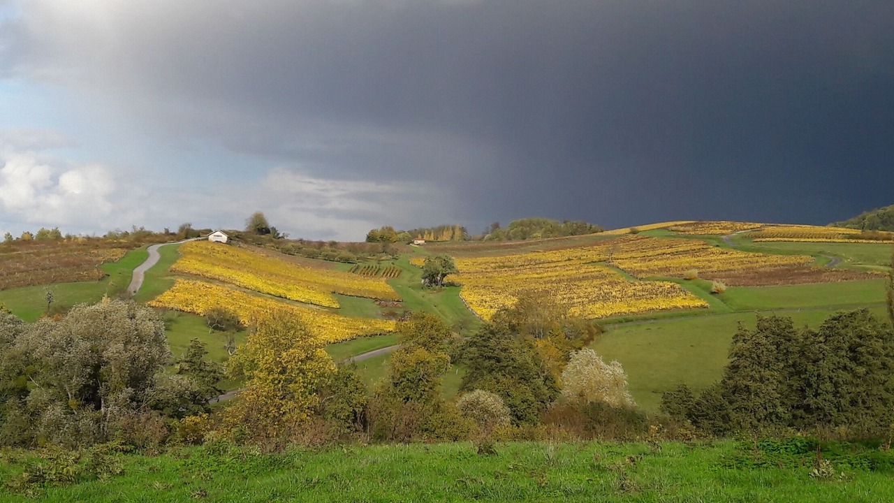 Photo of Others in Passenans