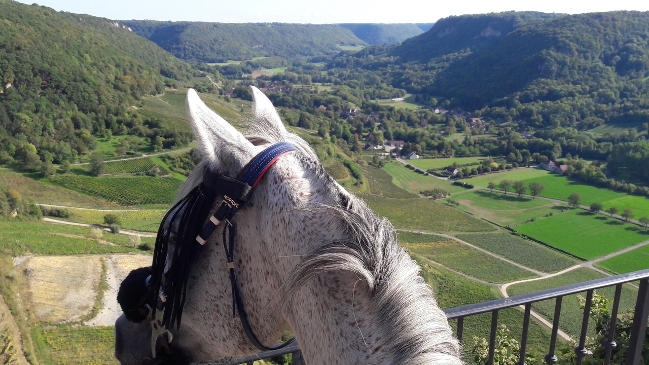 Photo of Patio Balcony in Passenans