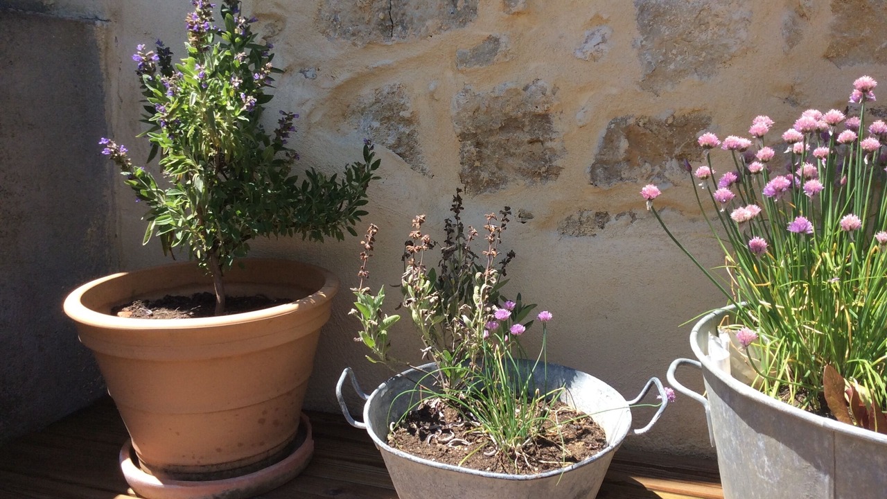 Photo of Outdoor in Passenans