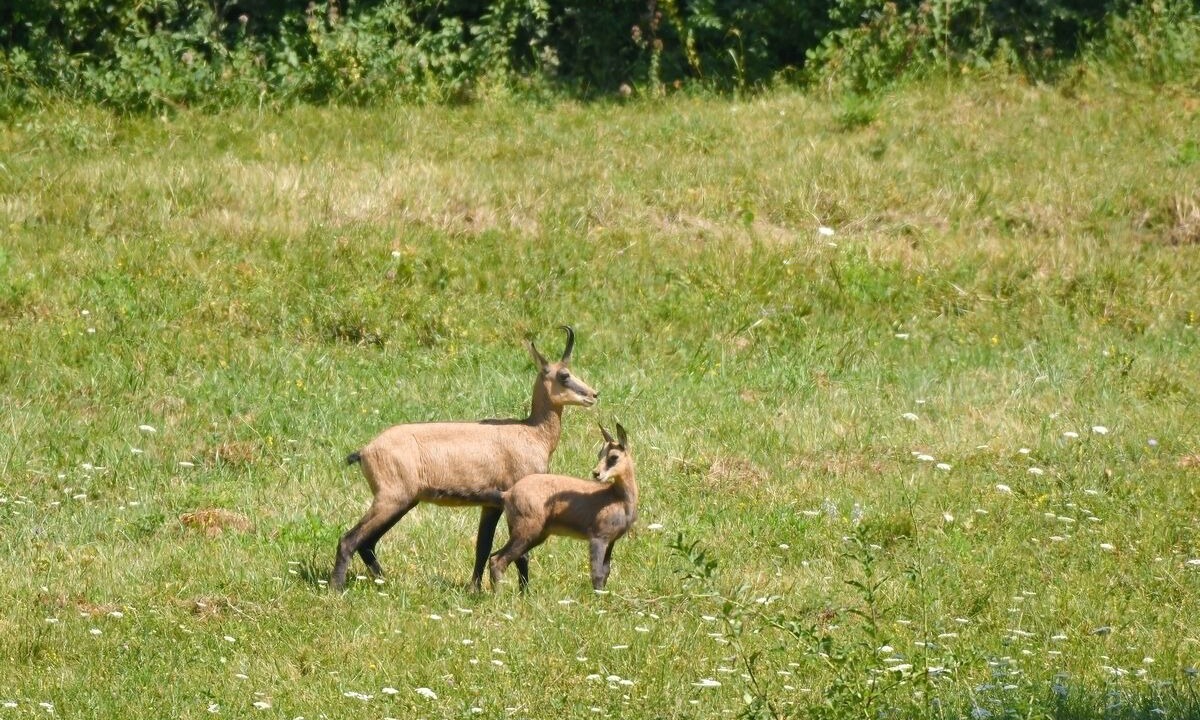 Photo of Others in Passenans