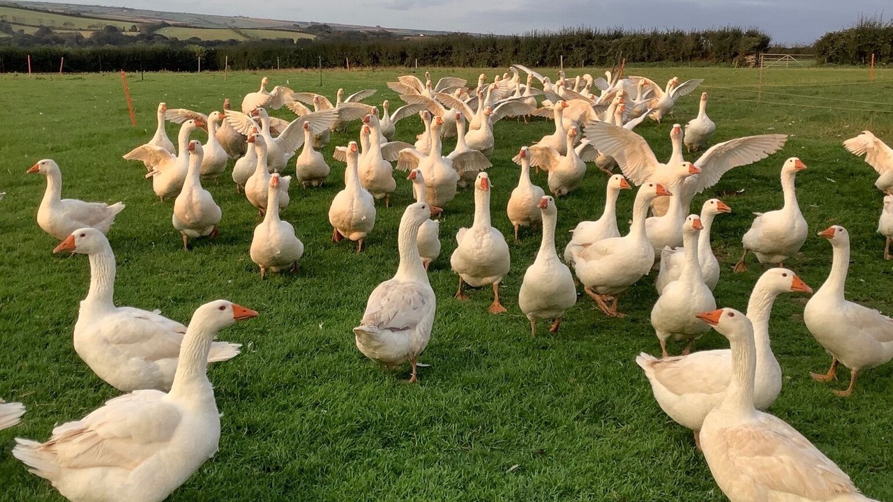 Photo of Outdoor in Chillington