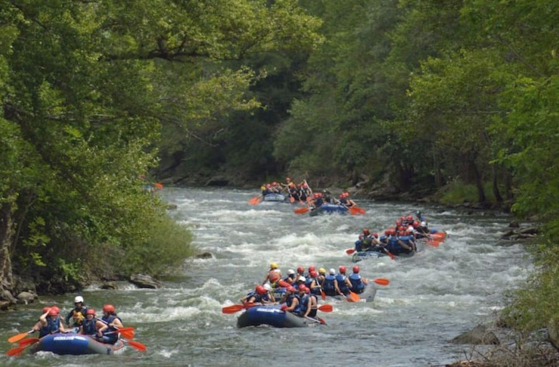 Photo of Others in Pujal