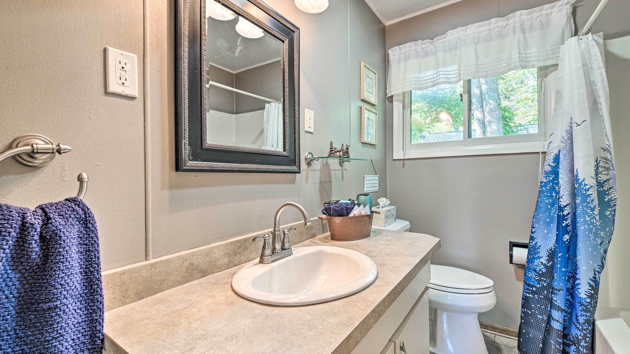 Photo of Bathroom in Curtis Township