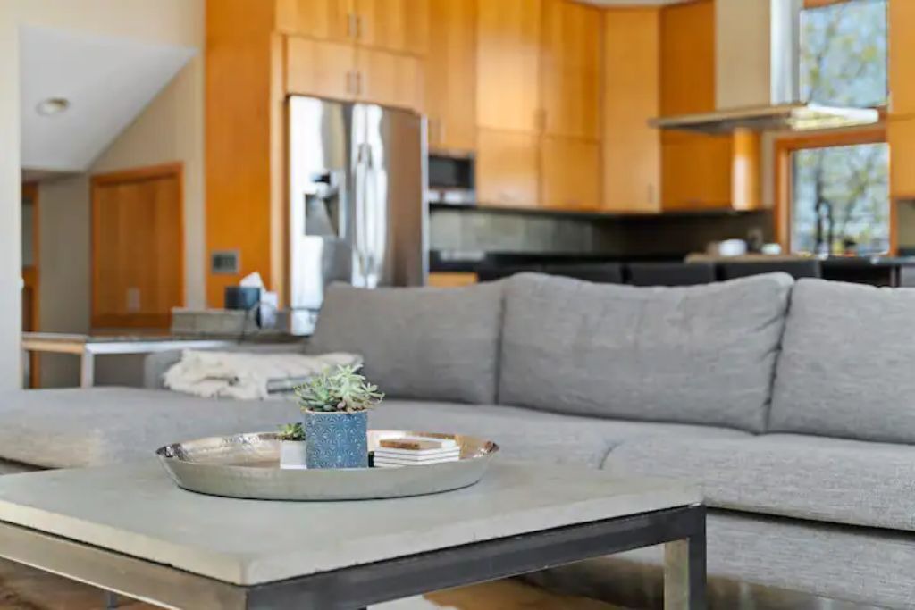 Photo of Livingroom in Miller Beach