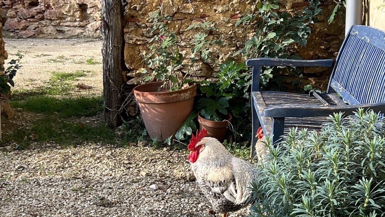 Photo of Outdoor in Cazaubon