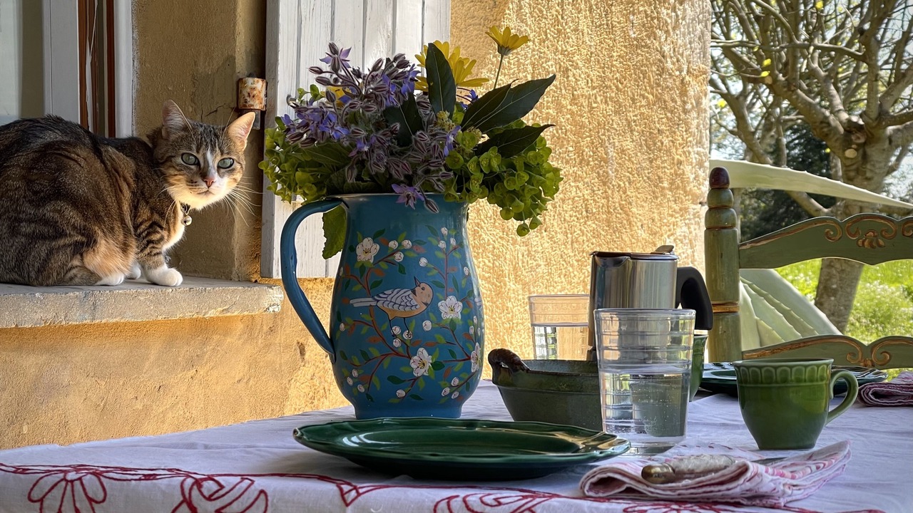 Photo of Others in Cazaubon