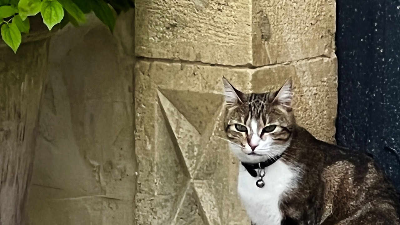 Photo of Outdoor in Cazaubon