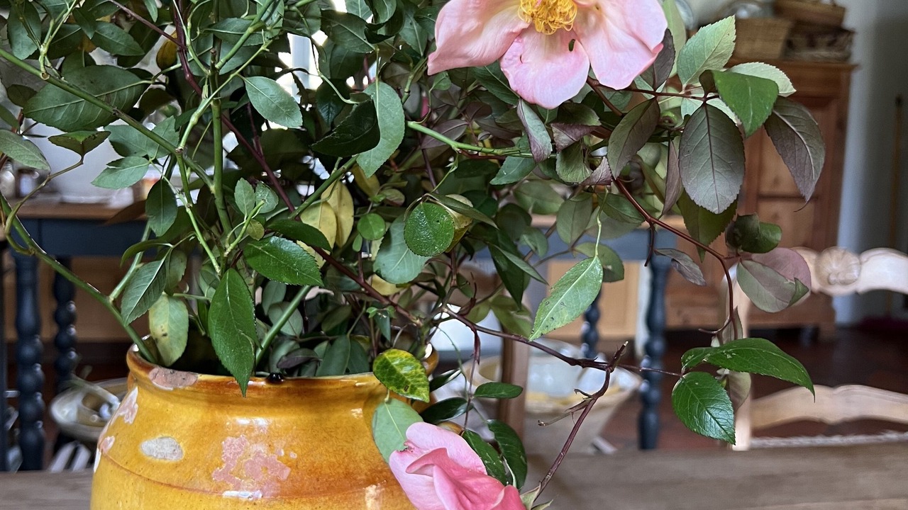 Photo of Others in Cazaubon