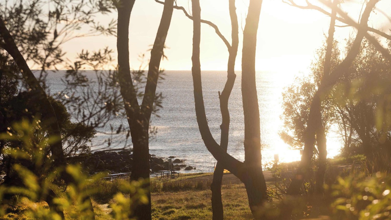Photo of Others in Bawley Point