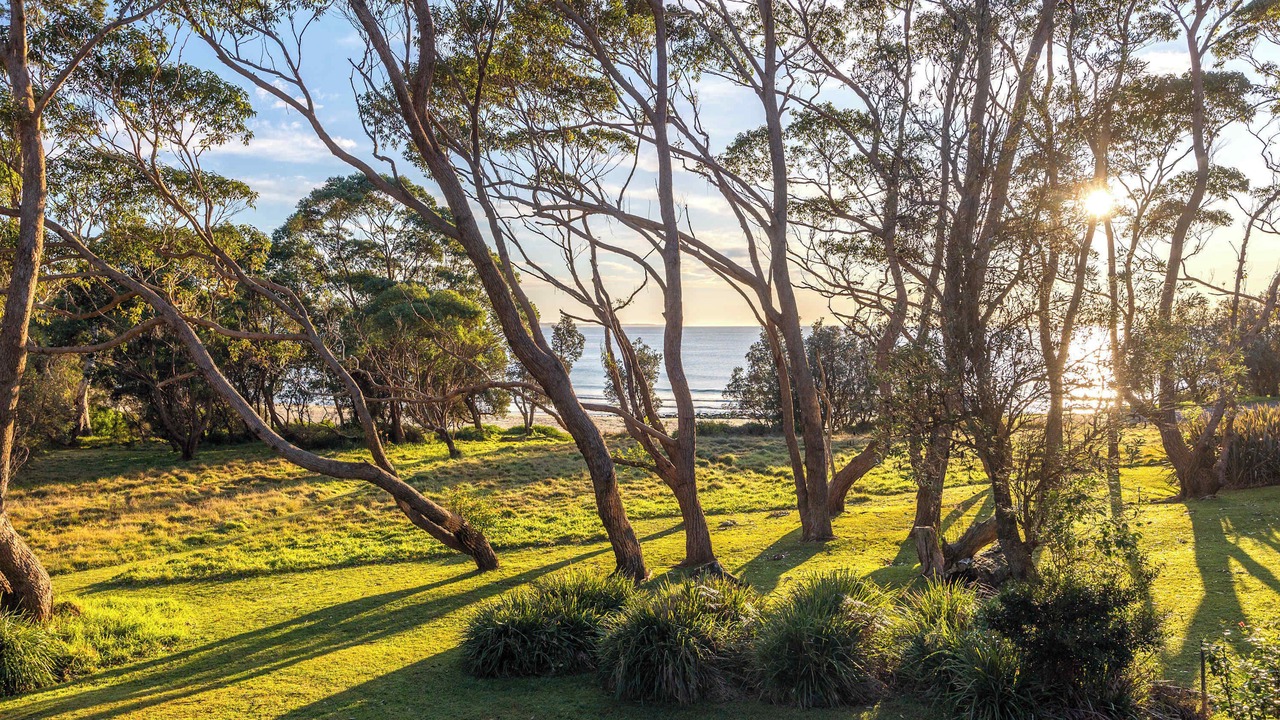 Photo of Others in Bawley Point