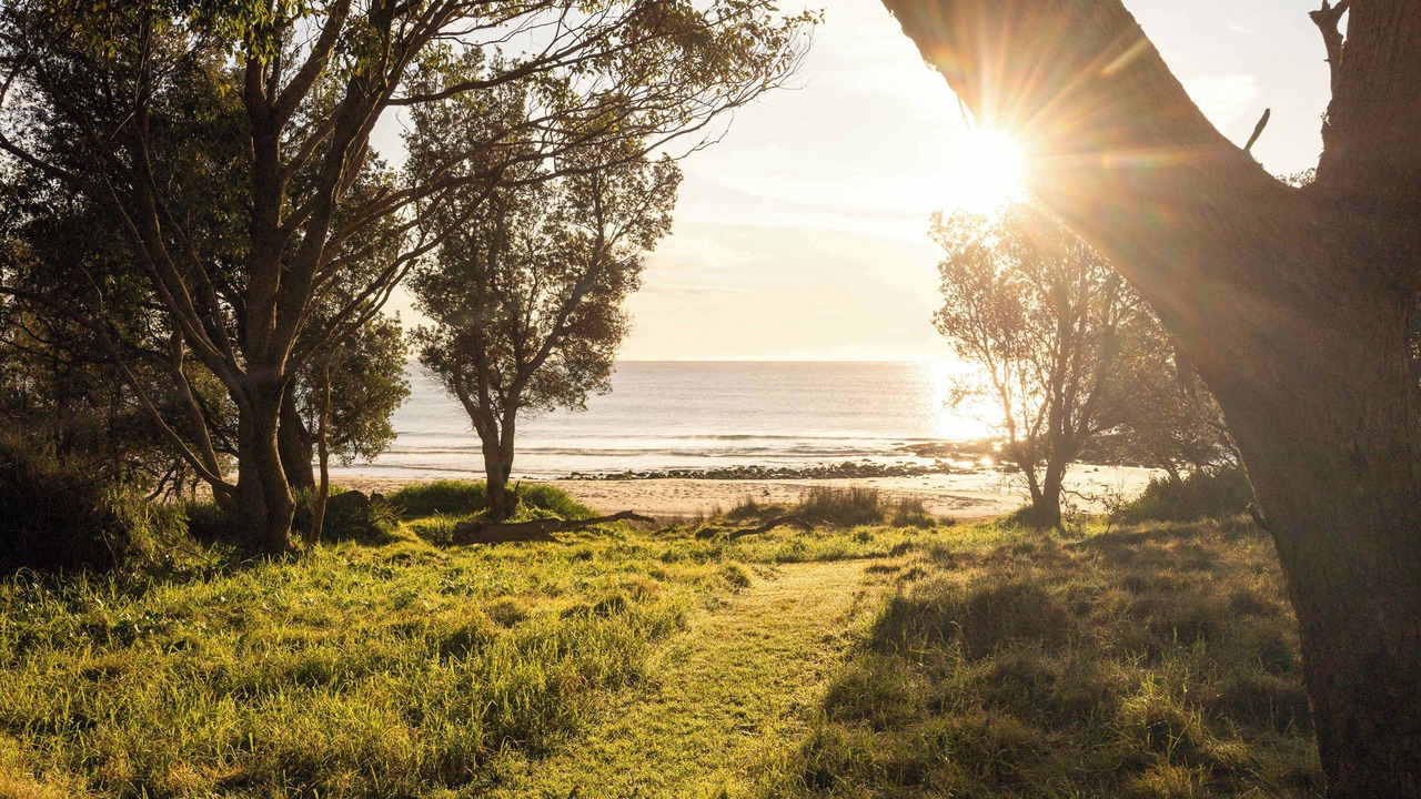 Photo of Others in Bawley Point