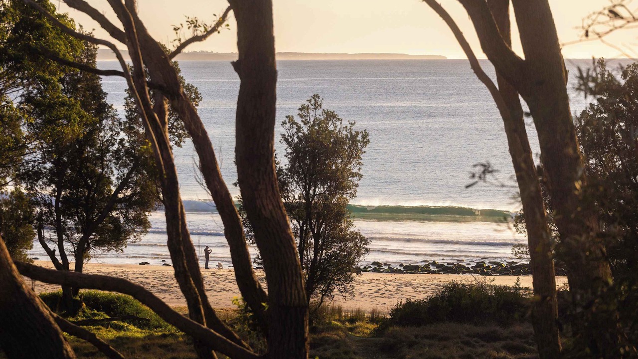 Photo of Others in Bawley Point