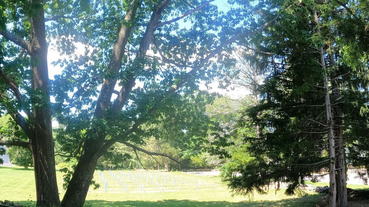 Photo of Others in North Andover