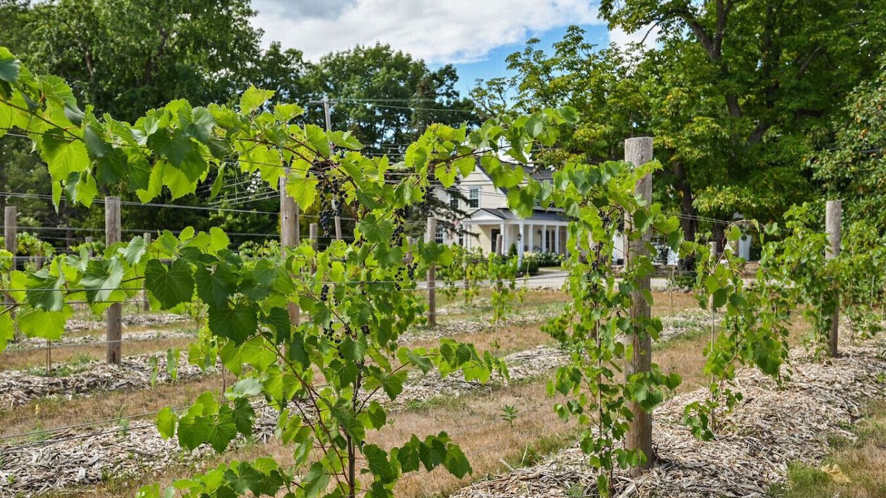 Photo of Others in North Andover