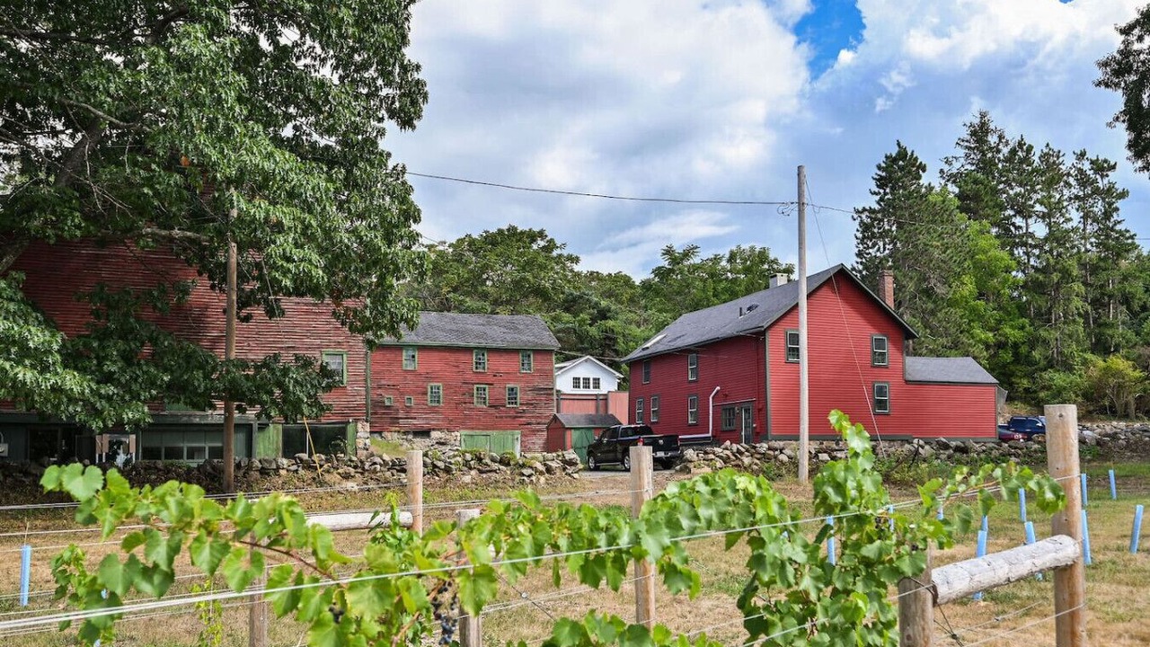 Photo of Others in North Andover