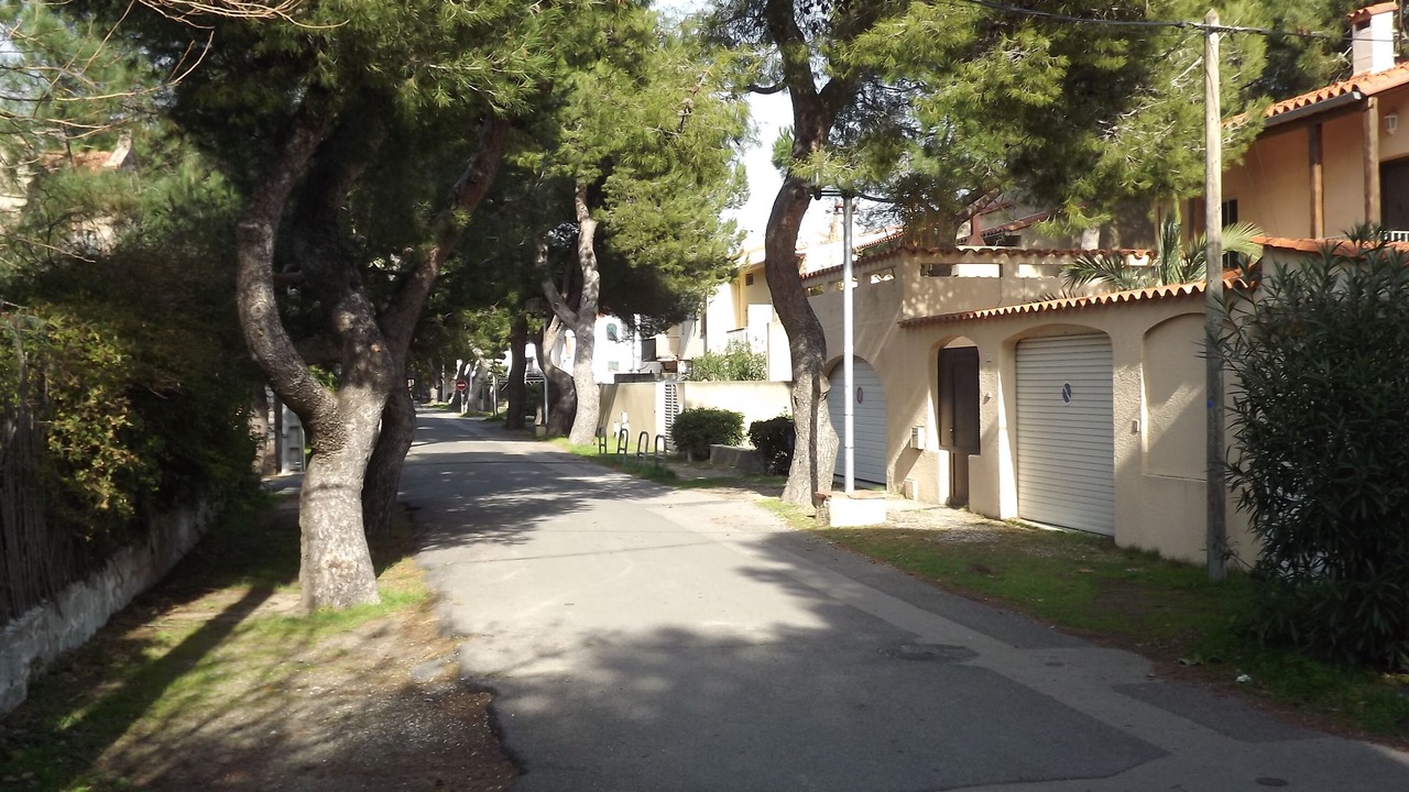 Photo of Others in Plage d'Argeles
