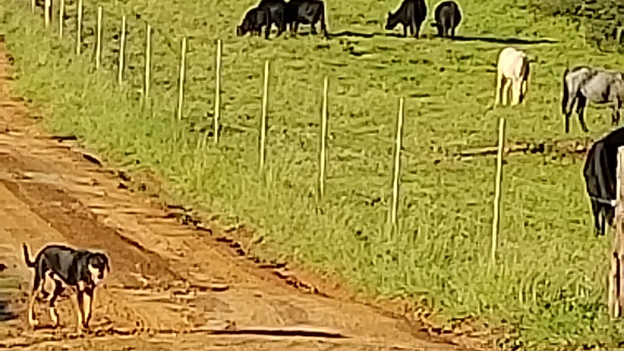 Photo of Others in Rusk