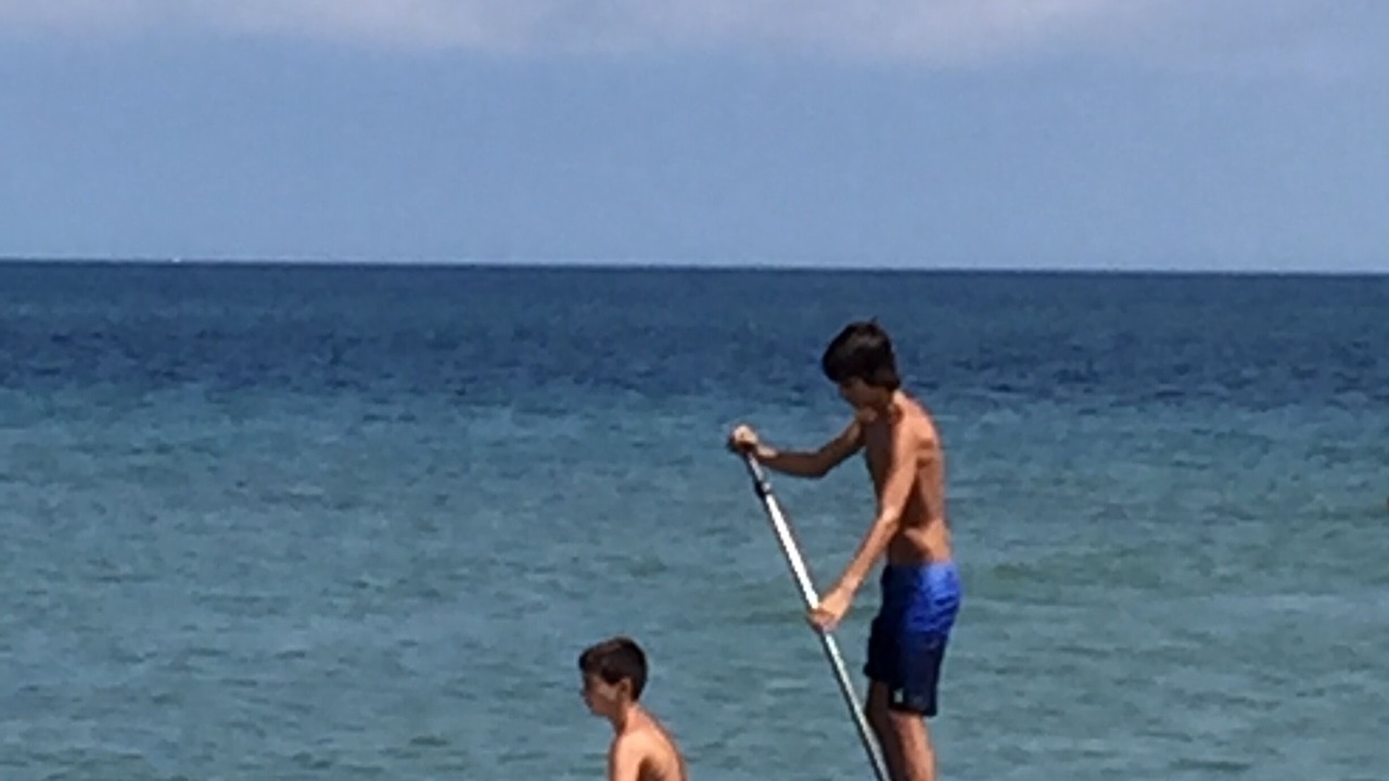 Photo of Others in East Sandwich