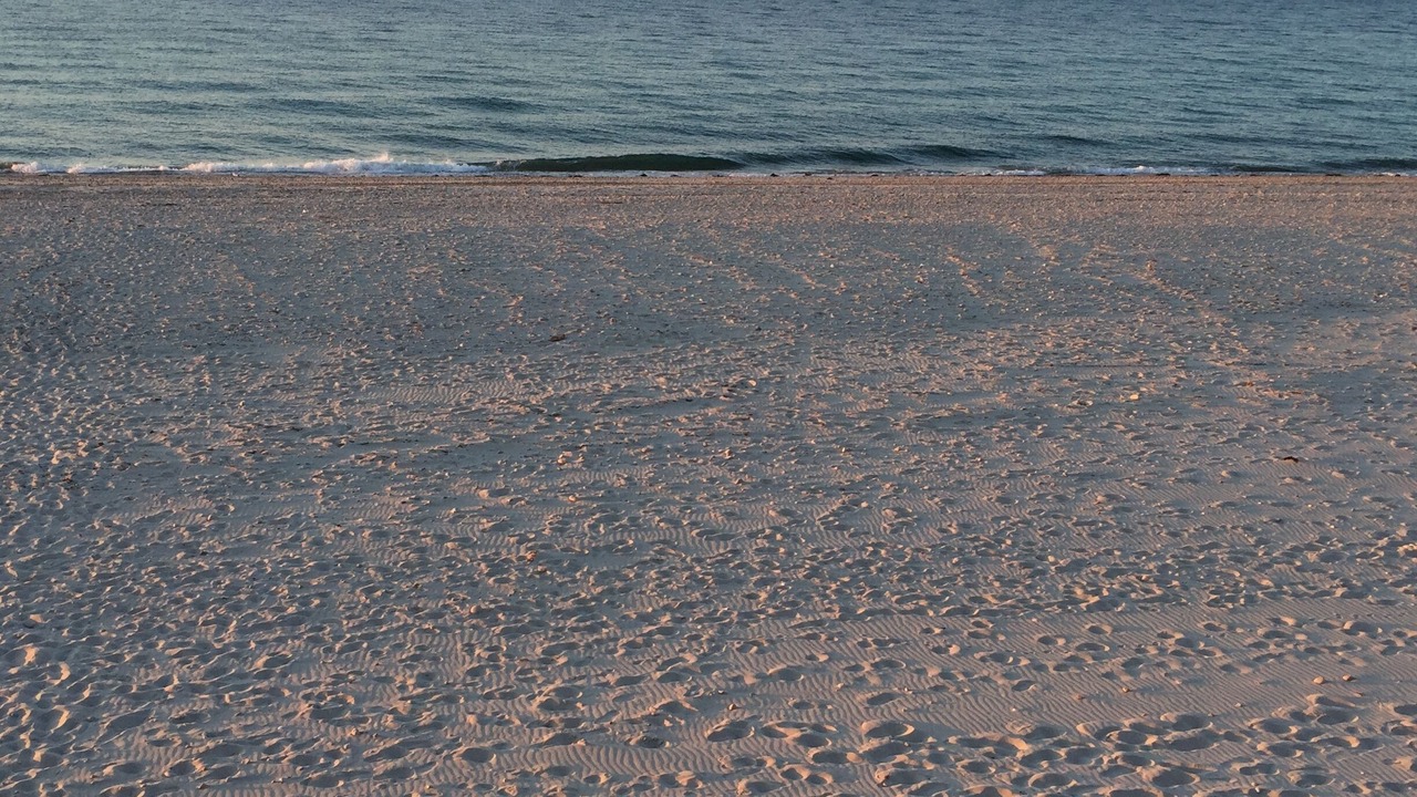 Photo of Others in East Sandwich