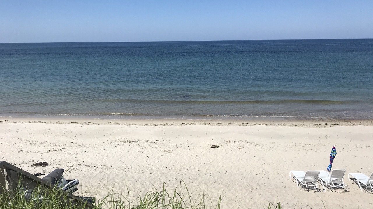 Photo of Others in East Sandwich