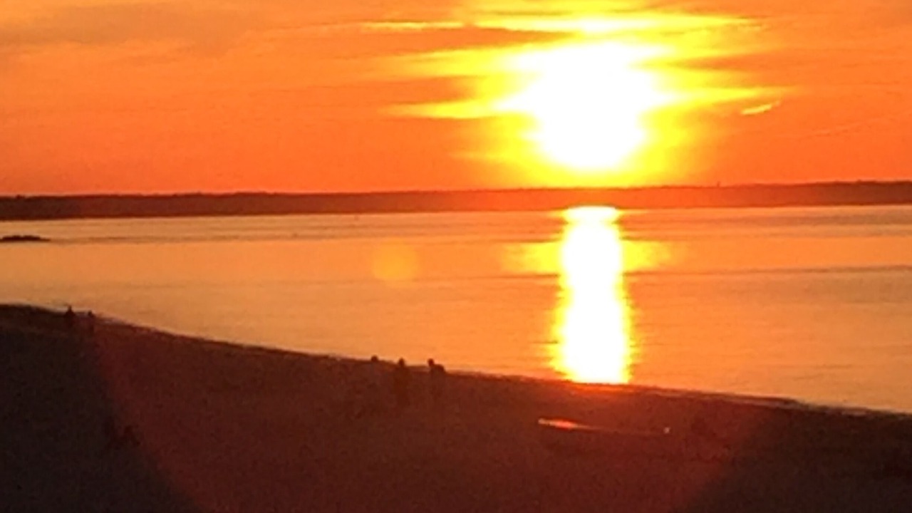 Photo of Others in East Sandwich