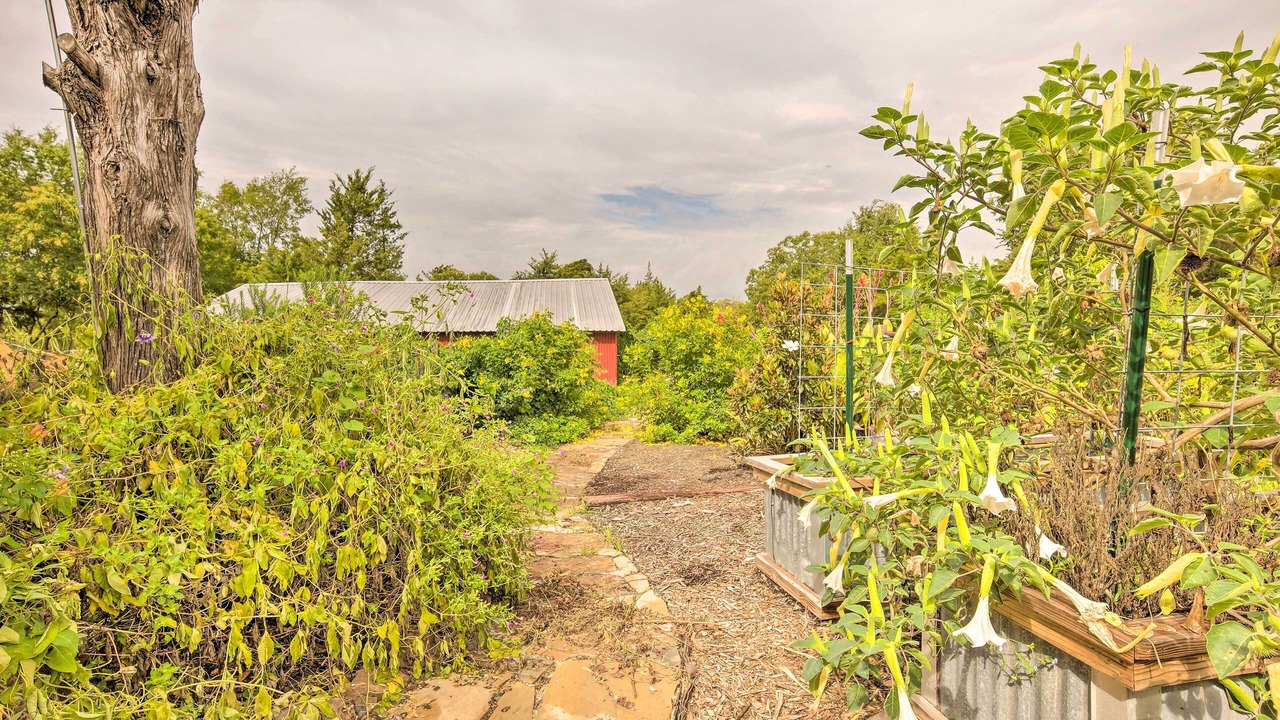 Photo of Outdoor in Brenham
