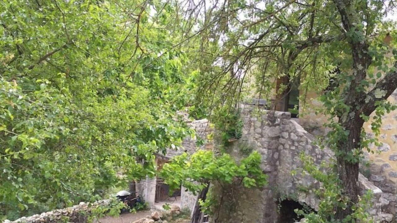 Photo of Outdoor in Gras